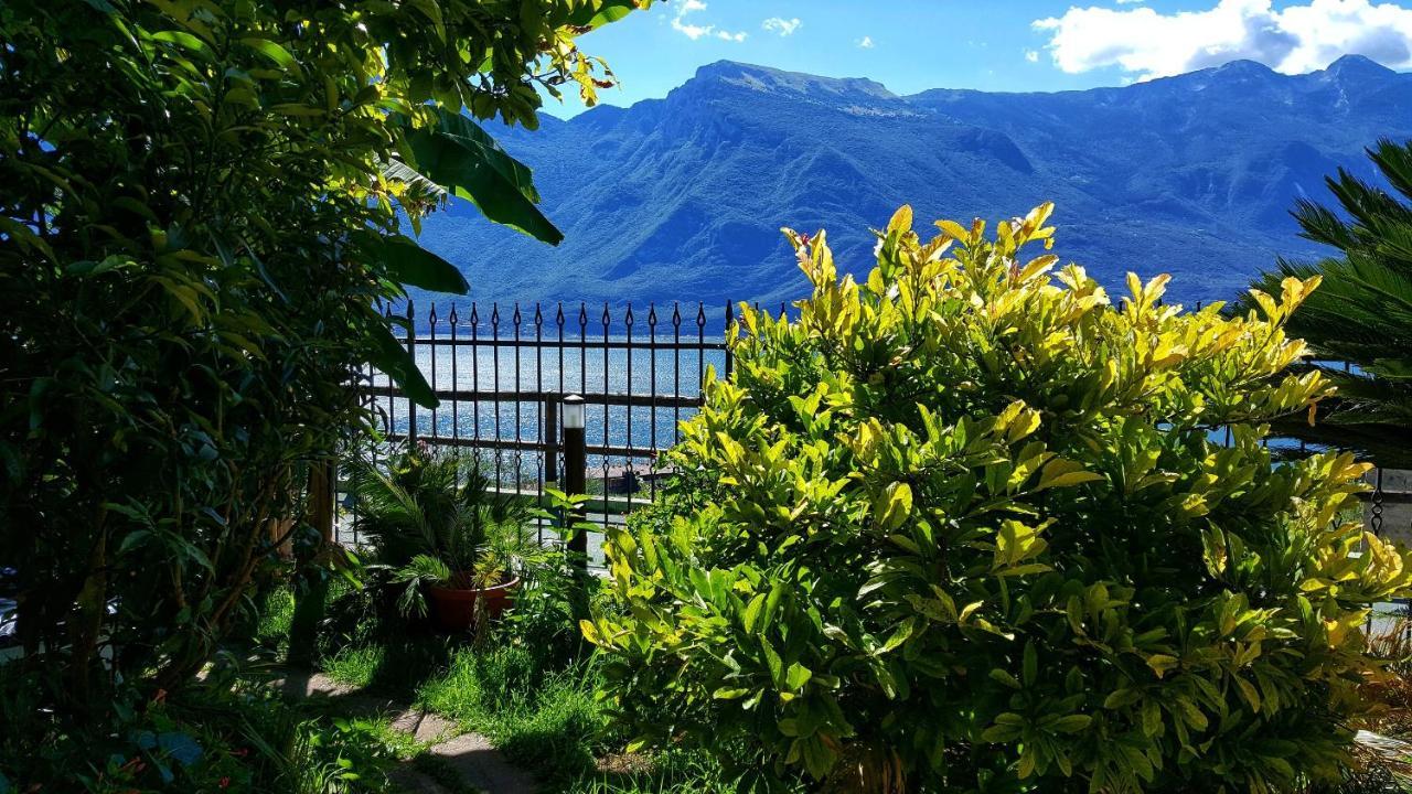 Villa Fior Di Loto Limone sul Garda Exterior photo
